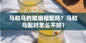 马和马的婚姻相配吗？马和马配对怎么不好？