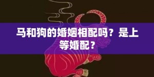 马和狗的婚姻相配吗？是上等婚配？