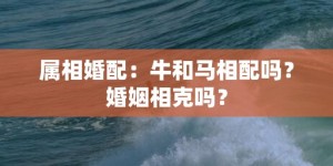 属相婚配：牛和马相配吗？婚姻相克吗？