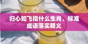 归心如飞指什么生肖、标准成语落实释义