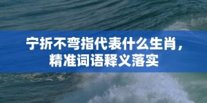 宁折不弯指代表什么生肖，精准词语释义落实