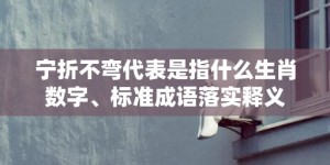 宁折不弯代表是指什么生肖数字、标准成语落实释义