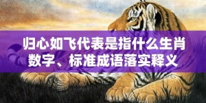 归心如飞代表是指什么生肖数字、标准成语落实释义