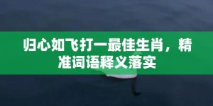 归心如飞打一最佳生肖，精准词语释义落实