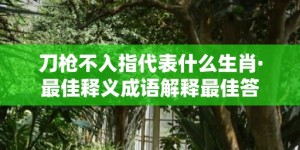 刀枪不入指代表什么生肖·最佳释义成语解释最佳答