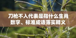 刀枪不入代表是指什么生肖数字、标准成语落实释义