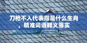 刀枪不入代表指是什么生肖，精准词语释义落实