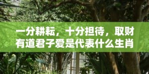 一分耕耘，十分担待，取财有道君子爱是代表什么生肖 ·最佳释义成语解释最佳答