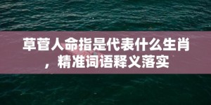 草菅人命指是代表什么生肖，精准词语释义落实