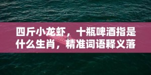 四斤小龙虾，十瓶啤酒指是什么生肖，精准词语释义落实