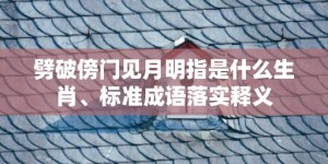 劈破傍门见月明指是什么生肖、标准成语落实释义