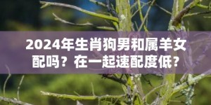 2024年生肖狗男和属羊女配吗？在一起速配度低？