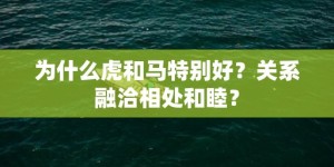 为什么虎和马特别好？关系融洽相处和睦？