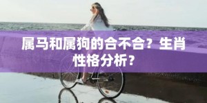 属马和属狗的合不合？生肖性格分析？