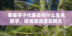 莘莘学子代表是指什么生肖数字、标准成语落实释义