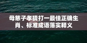 母慈子孝猜打一最佳正确生肖、标准成语落实释义