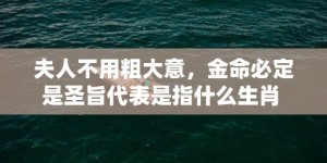 夫人不用粗大意，金命必定是圣旨代表是指什么生肖 最佳释义成语解释最佳答