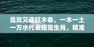 是双又逢旺木春，一木一土一方水代表指是生肖，精准词语释义落实