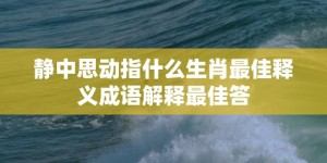 静中思动指什么生肖最佳释义成语解释最佳答