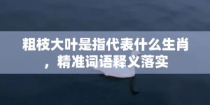 粗枝大叶是指代表什么生肖，精准词语释义落实