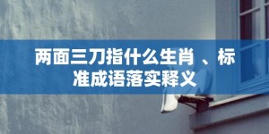 两面三刀指什么生肖 、标准成语落实释义