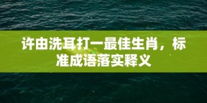 许由洗耳打一最佳生肖，标准成语落实释义