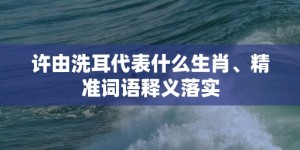 许由洗耳代表什么生肖、精准词语释义落实