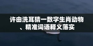 许由洗耳猜一数字生肖动物、精准词语释义落实