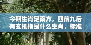 今期生肖定南方，四前九后有玄机指是什么生肖、标准成语落实释义