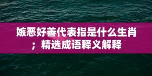 嫉恶好善代表指是什么生肖；精选成语释义解释