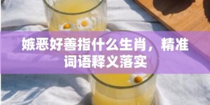 嫉恶好善指什么生肖，精准词语释义落实