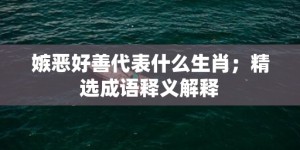 嫉恶好善代表什么生肖；精选成语释义解释