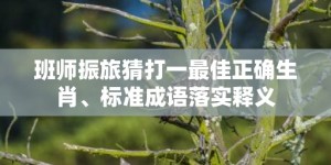 班师振旅猜打一最佳正确生肖、标准成语落实释义