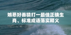 嫉恶好善猜打一最佳正确生肖、标准成语落实释义