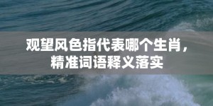 观望风色指代表哪个生肖，精准词语释义落实