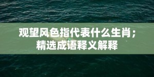 观望风色指代表什么生肖；精选成语释义解释