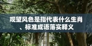 观望风色是指代表什么生肖、标准成语落实释义