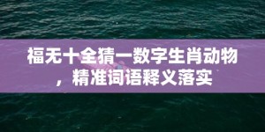 福无十全猜一数字生肖动物，精准词语释义落实