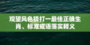 观望风色猜打一最佳正确生肖、标准成语落实释义