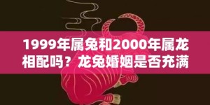 1999年属兔和2000年属龙相配吗？龙兔婚姻是否充满矛盾？