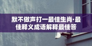 默不做声打一最佳生肖·最佳释义成语解释最佳答