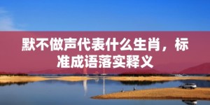 默不做声代表什么生肖，标准成语落实释义