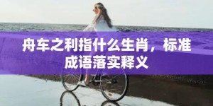 舟车之利指什么生肖，标准成语落实释义