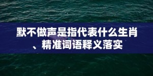 默不做声是指代表什么生肖、精准词语释义落实