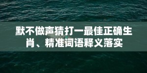 默不做声猜打一最佳正确生肖、精准词语释义落实