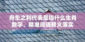 舟车之利代表是指什么生肖数字、精准词语释义落实