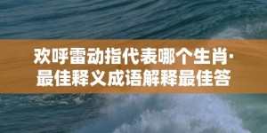 欢呼雷动指代表哪个生肖·最佳释义成语解释最佳答