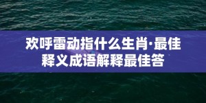 欢呼雷动指什么生肖·最佳释义成语解释最佳答