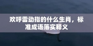 欢呼雷动指的什么生肖，标准成语落实释义