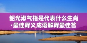 韶光淑气指是代表什么生肖·最佳释义成语解释最佳答